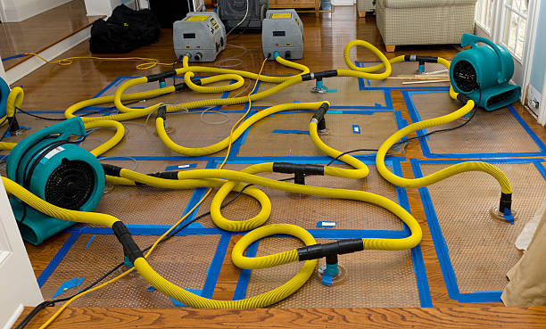 Professional Water Damage Restoration technician working in Trade, TN